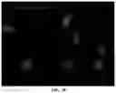 Fig. 43 - Representative diagnostics