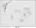 Fig. 64 - Representative diagnostics