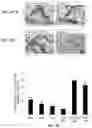 Fig. 66 - Representative diagnostics