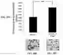 Fig. 67 - Representative diagnostics