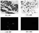 Fig. 71 - Representative diagnostics