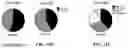 Fig. 75 - Representative diagnostics