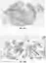 Fig. 78 - Representative diagnostics