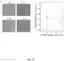 Fig. 29 - Bio/chemical assay devices and methods for simplified steps, small samples, accelerated speed, and ease-of-use