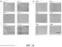 Fig. 31 - Bio/chemical assay devices and methods for simplified steps, small samples, accelerated speed, and ease-of-use