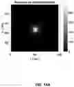 Fig. 18 - Particle emission tomography