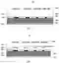 Fig. 02 - Terahertz antenna based on multi-frequency transmission switching and spectral detection device thereof