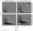 Fig. 02 - Methods and devices for improved signal detection from biological samples