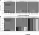 Fig. 12 - Methods and devices for improved signal detection from biological samples