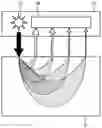 Fig. 01 - Measurement apparatus and measurement method