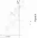 Fig. 10 - Dynamic raman signal acquisition system, method and apparatus