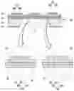 Fig. 01 - Dual heater gas sensor module