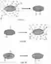 Fig. 03 - Active transport of charged molecules into, within, and/or from charged matrices