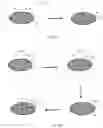 Fig. 04 - Active transport of charged molecules into, within, and/or from charged matrices