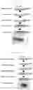 Fig. 04 - Micro gas chromatography system