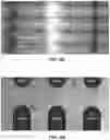 Fig. 12 - Integrated multi-electrode array and trans-endothelial electrical resistance in organ-on-a-chip microsystems