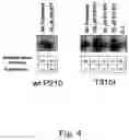 Fig. 05 - Compounds and methods of identifying, synthesizing, optimizing and profiling protein modulators