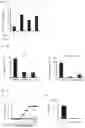 Fig. 13 - Method for producing disease modeling non-human animal, disease modeling non-human animal, and method for screening drug and method for determining risk of disease using the same