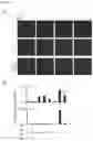 Fig. 16 - Method for producing disease modeling non-human animal, disease modeling non-human animal, and method for screening drug and method for determining risk of disease using the same