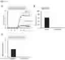 Fig. 19 - Method for producing disease modeling non-human animal, disease modeling non-human animal, and method for screening drug and method for determining risk of disease using the same