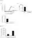 Fig. 22 - Method for producing disease modeling non-human animal, disease modeling non-human animal, and method for screening drug and method for determining risk of disease using the same