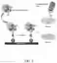 Fig. 04 - NANOPARTICLE-ENHANCED ENZYMATIC IMMUNE BIOSENSOR ASSAY FOR ANTIGEN DETECTION