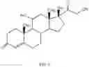 Fig. 06 - NANOPARTICLE-ENHANCED ENZYMATIC IMMUNE BIOSENSOR ASSAY FOR ANTIGEN DETECTION