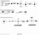 Fig. 13 - NANOPARTICLE-ENHANCED ENZYMATIC IMMUNE BIOSENSOR ASSAY FOR ANTIGEN DETECTION