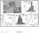 Fig. 14 - NANOPARTICLE-ENHANCED ENZYMATIC IMMUNE BIOSENSOR ASSAY FOR ANTIGEN DETECTION