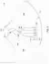 Fig. 09 - Centripetal microfluidic platform for LAL reactive substances testing