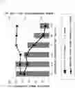 Fig. 09 - IMMUNOLOGICAL MEASUREMENT METHOD FOR RENIN CONCENTRATION