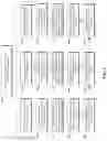 Fig. 02 - Methods for measuring gene expression levels to identify viable oocytes