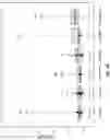 Fig. 07 - Methods for measuring gene expression levels to identify viable oocytes