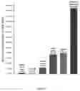 Fig. 02 - METHODS, SYSTEMS AND COMPOSITIONS FOR WHOLE BRAIN PROTEOME-BASED TRAUMATIC BRAIN INJURY (TBI) AND ASSOCIATED NEURODEGENERATIVE DISEASE IMMUNE RESPONSE DIAGNOSTICS