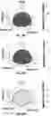 Fig. 36 - Apparatus and method(s) for wet radome characterization and radar calibration