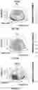 Fig. 38 - Apparatus and method(s) for wet radome characterization and radar calibration