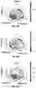 Fig. 40 - Apparatus and method(s) for wet radome characterization and radar calibration