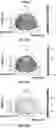 Fig. 46 - Apparatus and method(s) for wet radome characterization and radar calibration
