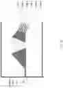Fig. 24 - Integrated target waveguide devices and systems for optical coupling