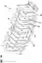 Fig. 13 - Telecommunications enclosure and organizer