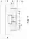 Fig. 14 - IMAGE CAPTURING APPARATUS