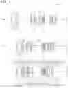 Fig. 02 - VARIABLE MAGNIFICATION OPTICAL SYSTEM, OPTICAL APPARATUS, AND METHOD FOR MANUFACTURING VARIABLE MAGNIFICATION OPTICAL SYSTEM