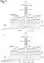 Fig. 12 - Light module
