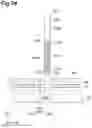 Fig. 35 - Light module