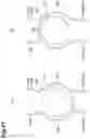 Fig. 42 - Light module