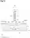Fig. 12 - Optical module