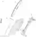 Fig. 03 - Head-up display device for vehicle