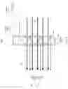 Fig. 05 - Reflective circular polarizer for head-mounted display