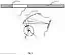 Fig. 07 - Near-to-eye display device using a spatial light modulator