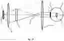 Fig. 13 - Near-to-eye display device using a spatial light modulator